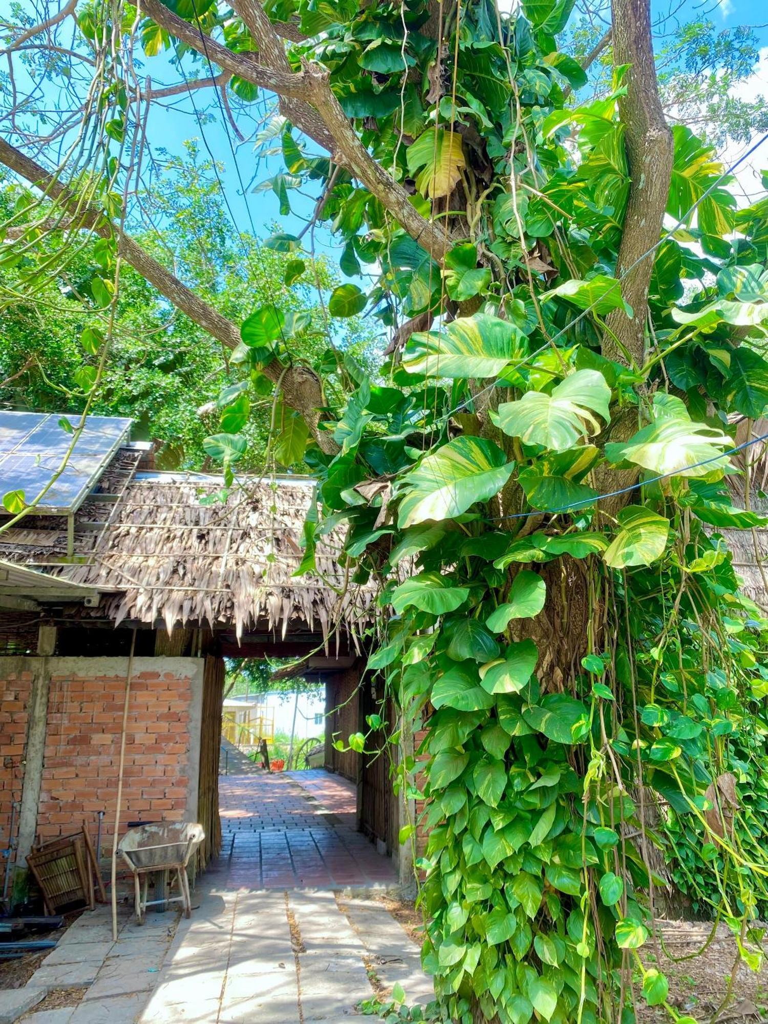 Homestay Mekong Can Tho Exteriér fotografie
