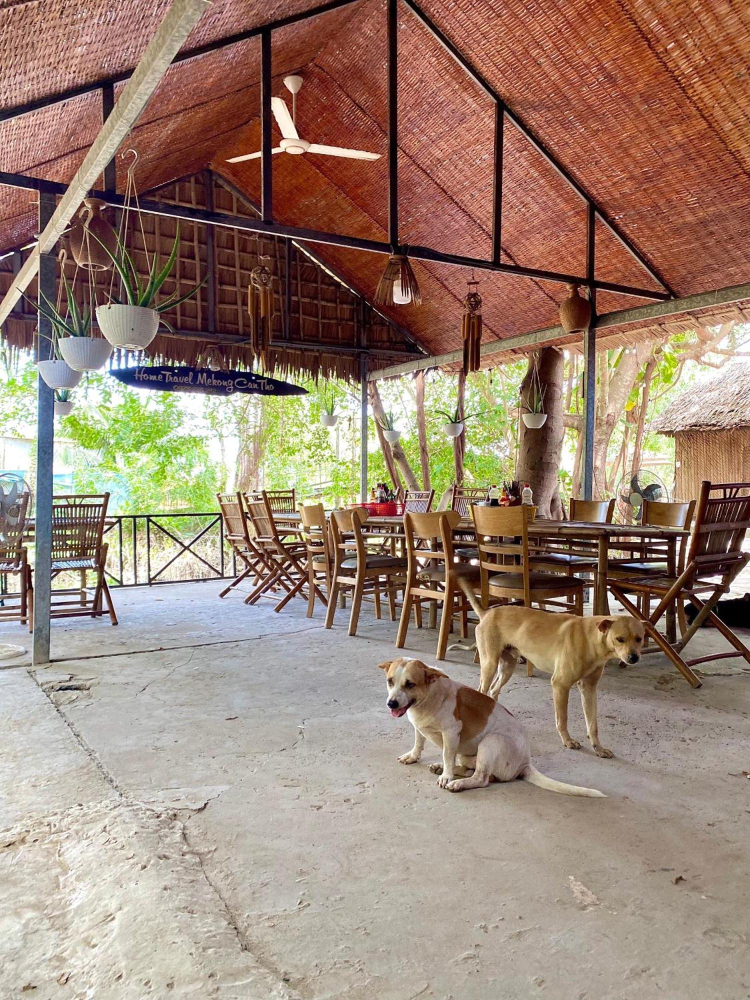 Homestay Mekong Can Tho Exteriér fotografie